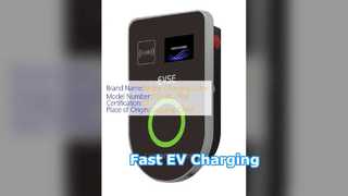 7kW EV Charger Wall Mount Type  IP