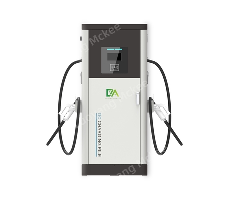 Dc Double Gun 60KW/80kW/120KW/160KW Household Commercial Electric Vehicle Fast Charging Pile / Charging Station