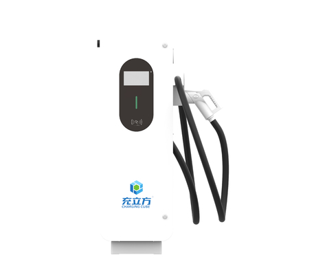 Custom Logo 40kW 60kW 120kW 180kW DC Electric Car Charger CCS2 GBT OCPP1.6j POS 4G Ev Fast Charging Station