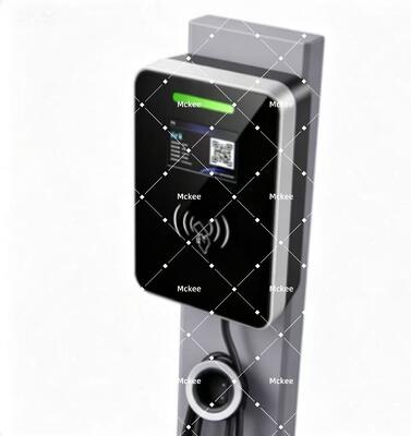 Good price Comprehensive multi-protection system for worry-free charging indoor & outdoor online
